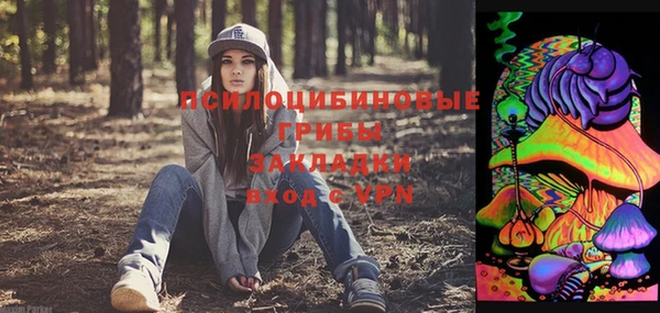 дмт Магадан
