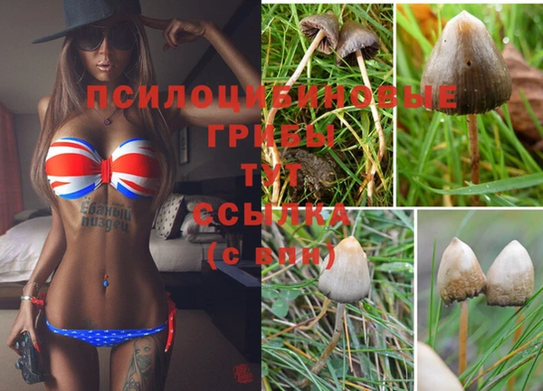метадон Магас