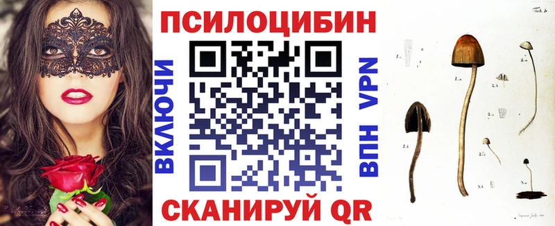 Купить закладки  Минеральные Воды  Галлюциногенные грибы мухоморы 