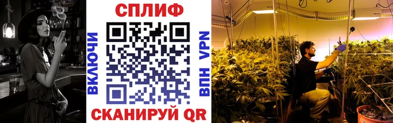 Купить где  Минеральные Воды  Канабис ГИДРОПОН 